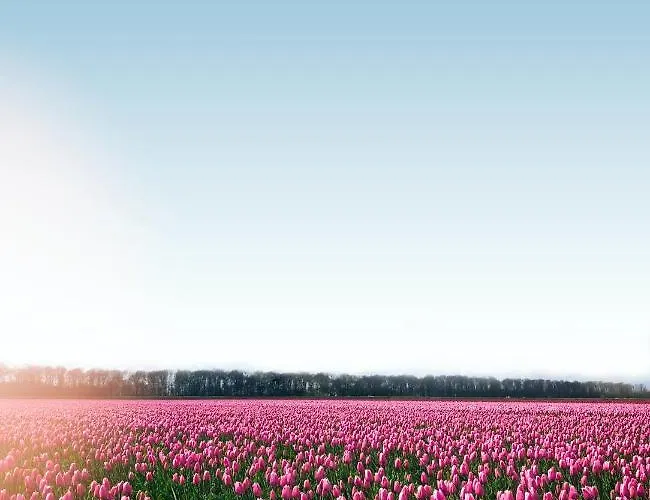 Ultiem Genieten In By Droomvilla